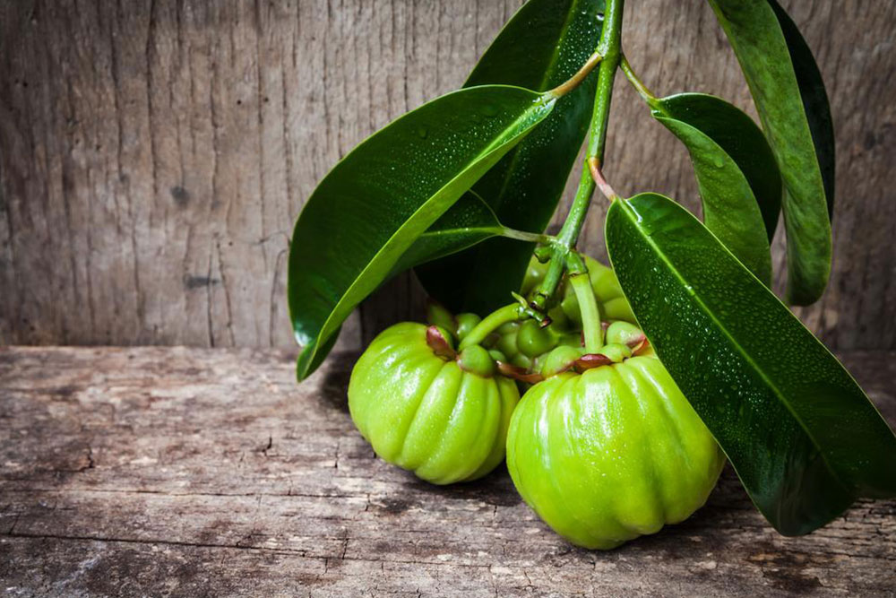 Garcinia cambogia – Know what you consume