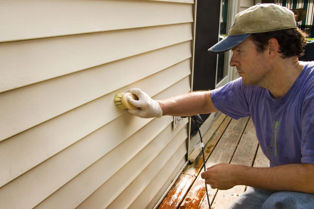 Home mold removal – Getting the right service