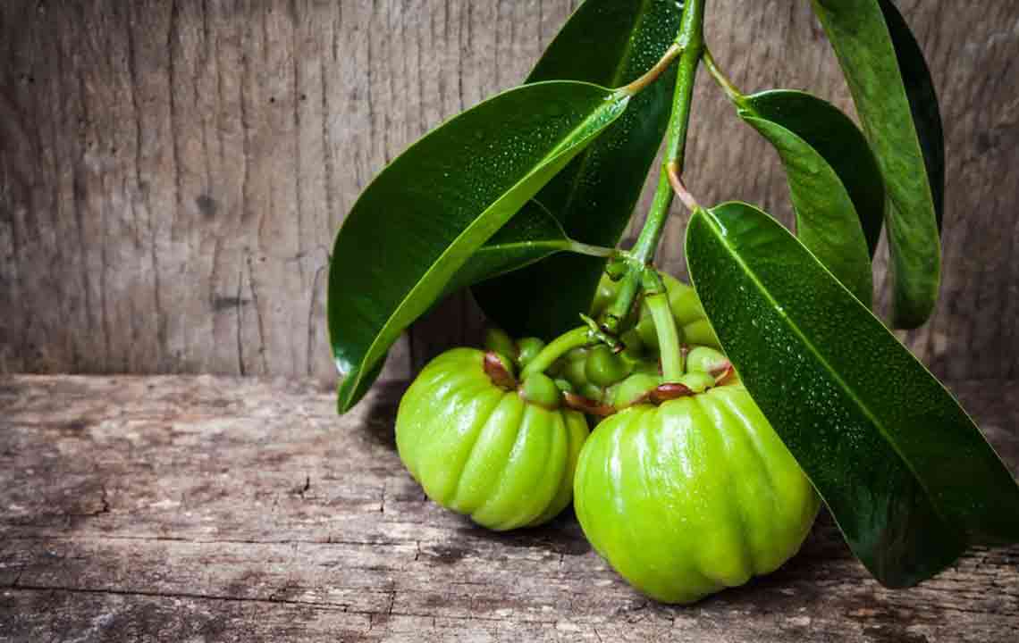 Garcinia – Its Proposed Benefits and Side Effects