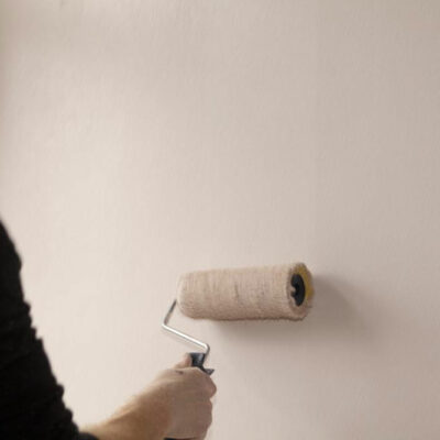 Tips to choose the best interior paint primer